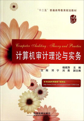 

计算机审计理论与实务/“十二五”普通高等教育规划教材