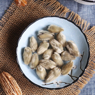 

Organic Flos Magnoliae Lilliflorae Magnolia Flower Buds Xin Yi Hua Herbal Tea