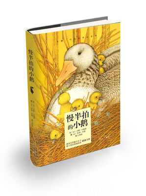 

慢半拍的小鹅