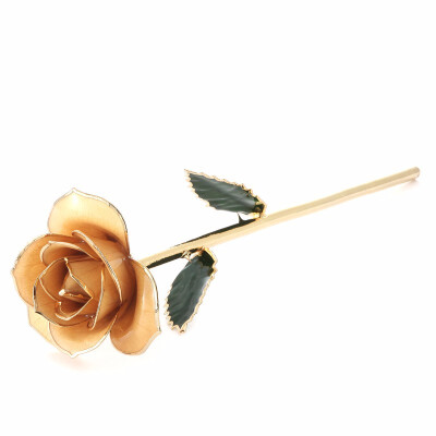 

Daya Ivory Gold Rose Unique for Her Wife Girlfriend Mom Women Made from Real Rose Flower with Stand