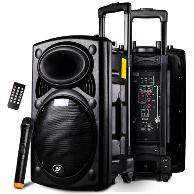 

SAST) Tianyun 11 12-inch trolley speaker square dance audio outdoor portable card loudspeaker with wireless microphone