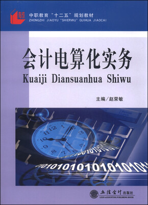 

会计电算化实务