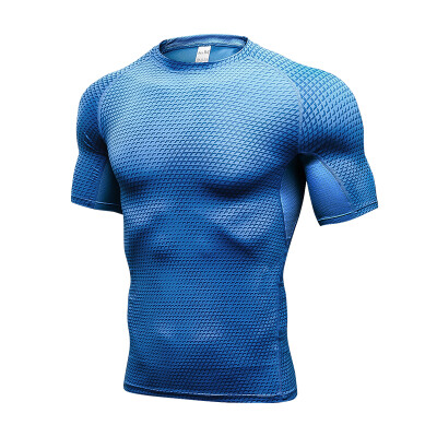 

Fitness Tight Gym Sports Suit Quick Dry Costume Tank Blouse Man Short T-Shirts