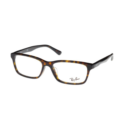 

RayBan Raymond glasses frame Asian custom fashion box glossy tortoiseshell color male and female glasses frames RX5318D 2012 55mm