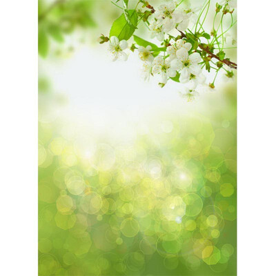 

Light Green Fog Photo Backdrop 57FT Vinyl Fabric Cloth Digital Printing Photo Background s-635