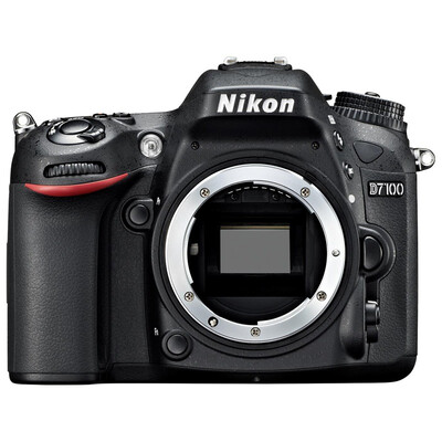 

Nikon D7100 автономный
