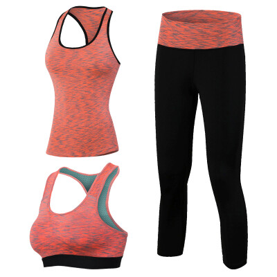 

3 Pieces Fitness Quick Dry Workout Sport Suit Tights Run Sport Bra