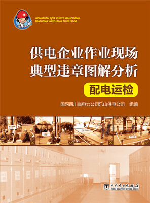 

供电企业作业现场典型违章图解分析 配电运检
