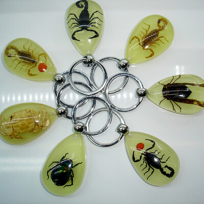 

Scorpion Glow Lucite Keyring Keychain Insect Jewelry Taxidermy Gift