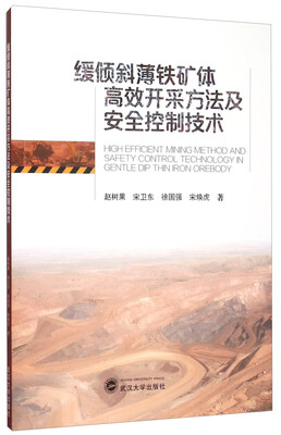 

缓倾斜薄铁矿体高效开采方法及安全控制技术