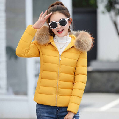 

2018 winter womens hooded Slim thin cotton coat large fur collar cotton jacket