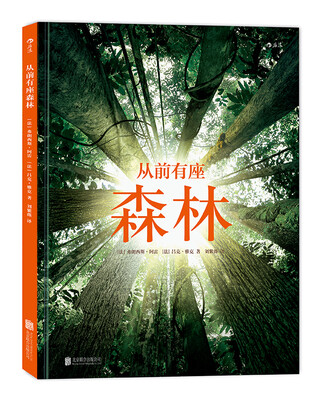 

从前有座森林