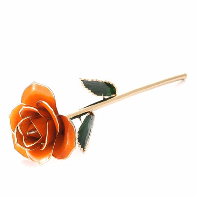 

DAYA 24K Gold Rose Everlasting Real Rose Dipped in Gold with Stand Unique Anniversary Birthday Gifts for Herorange
