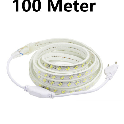 

IP67 LED Strip 220V 5730 120LEDM Waterproof Flexible Lamp Replace T5 Real 10WM With EU Plug WarmCold White