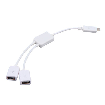 

USB 3.1 Type C USB-C to Dual 2 Port Hub Adapter For PC Laptop Tablet Macbook