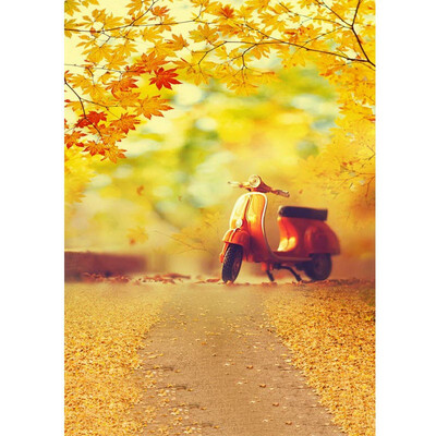 

Small Road Small Motorcycle Photo Backdrop 57FT Vinyl Fabric Cloth Digital Printing Photo Background s-685