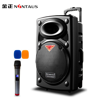 

NINTAUS N66 12-inch square dance audio high-power mobile outdoor Bluetooth trolley speaker amplifier with wireless microphone