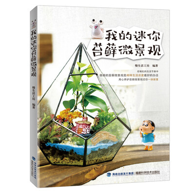 

我的迷你苔藓微景观