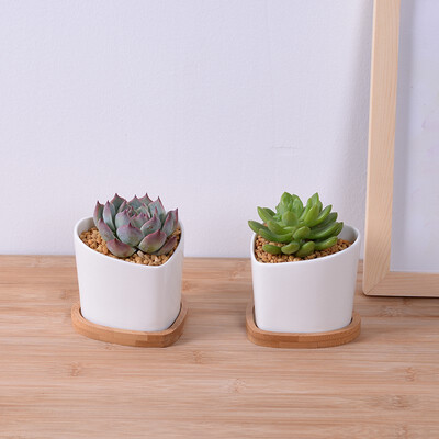 

Heart-Shaped White Ceramic Planter Pot Cactus Succulent Planter with Drain Hole & Bamboo Tray Set of 2 Plants are not included