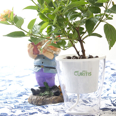 

CURITIS diamond transparent self-watering pots water storage self-irrigating flower pots indoor green radish flower pot plastic hydroponic plant pots without plants
