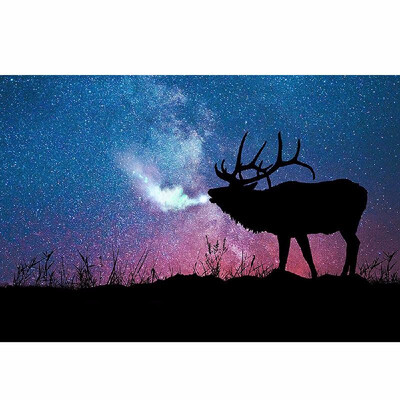 

5D Diamond Painting Full Drill DIY Kit Arts Crafts Embroidery Cross Stitch Rhinestone Canvas Wall Home Decor Style 1