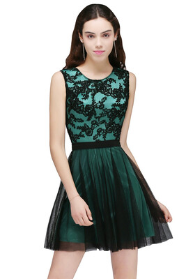 

A-Line Crew Short Sleeveless Tulle Lace Appliques Prom Dresses