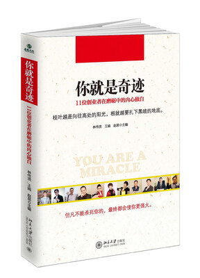 

你就是奇迹：11位创业者在磨砺中的内心独白