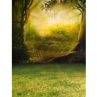 

Morning Forest Photo Backdrop 57FT Vinyl Fabric Cloth Digital Printing Photo Background s-655