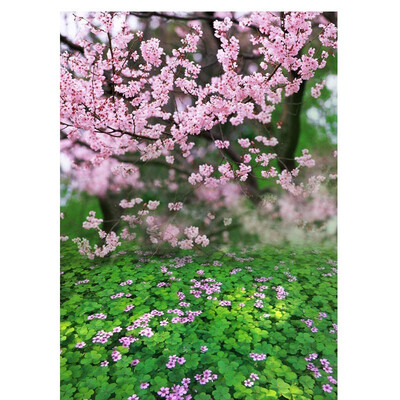 

Apricot Flower Photo Backdrop 57FT Vinyl Fabric Cloth Digital Printing Photo Background s-994