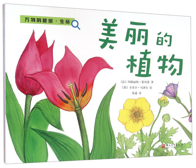 

美丽的植物