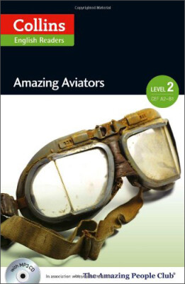 

Amazing Aviators Level 2