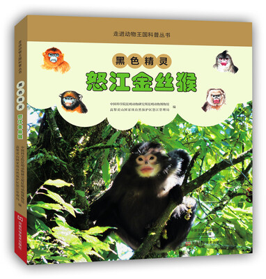 

黑色精灵怒江金丝猴