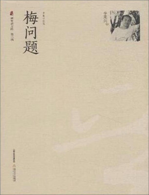 

梅问题