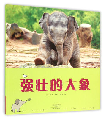 

强壮的大象