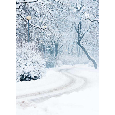 

Xmas Heavy Snow Photo Backdrop 57FT Vinyl Fabric Cloth Digital Printing Photo Background st-529