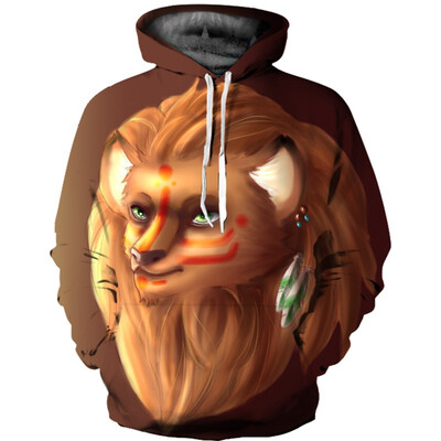 

QL-482 Mens Hoodie 3D Printed Women Pullover Sweater