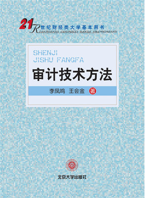 

审计技术方法