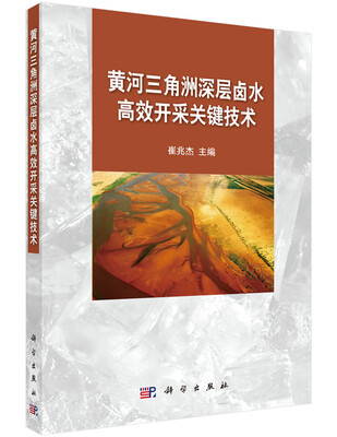 

黄河三角洲深层卤水高效开采关键技术