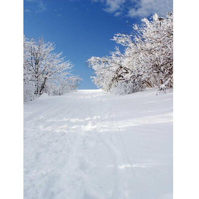 

Xmas Snow Blue Sky Photo Backdrop 57FT Vinyl Fabric Cloth Digital Printing Photo Background st-584