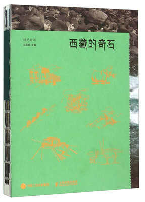

西藏的奇石