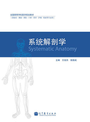 

系统解剖学