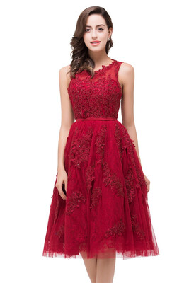 

A-Line Short Tulle Evening Dress With Appliques