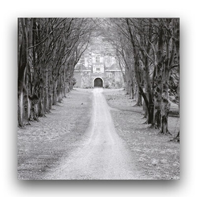 

Modular HD Print Artwork Landscape Home Decor Fashion Canvas painting Picture On Wall For Living Room