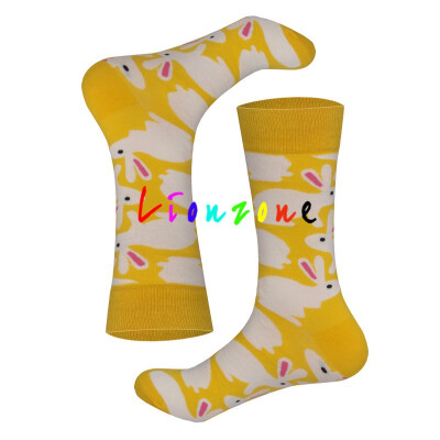 

LIONZONE 2018 Happy Socks Men Women Lovers Colorful Flower Leaf Robot Rabbit Style Combed Cotton Socks Hip-Hop Funny Gift