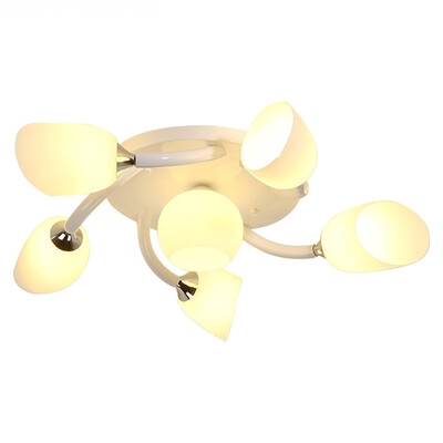 

LED Ceiling lamp ZM1711-1028