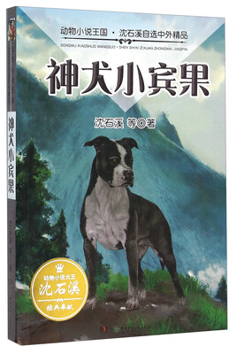 

神犬小宾果