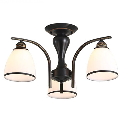 

Ceiling lamp ZM1711-1076