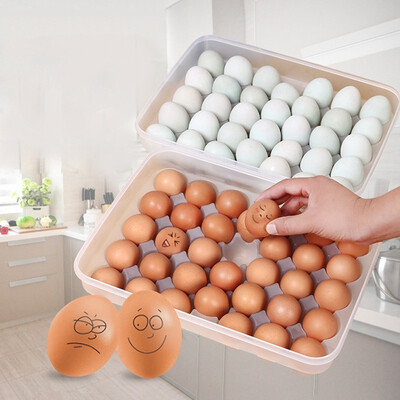 

UpperX Clear 34 Grid Single-Layer Egg Box Basket Organizer Plastic Egg Food Container Storage Box Home Kitchen Case Egg Box