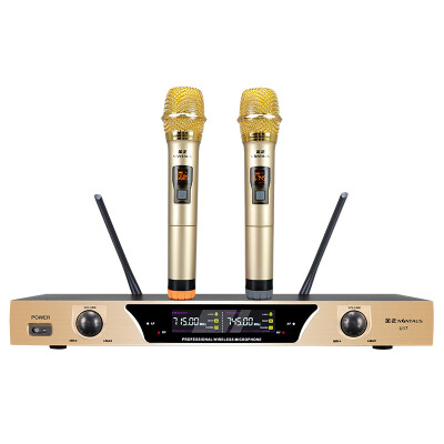 

Jinzheng NINTAUS wireless microphone microphone one for two home K song singing KTV meeting Kara OK professional U section metal FM stage performance U17