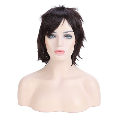 

Halloween Unisex Anime Fashion Short Wig Cosplay Party Straight Hair Cosplay Full Wigs dark brown
